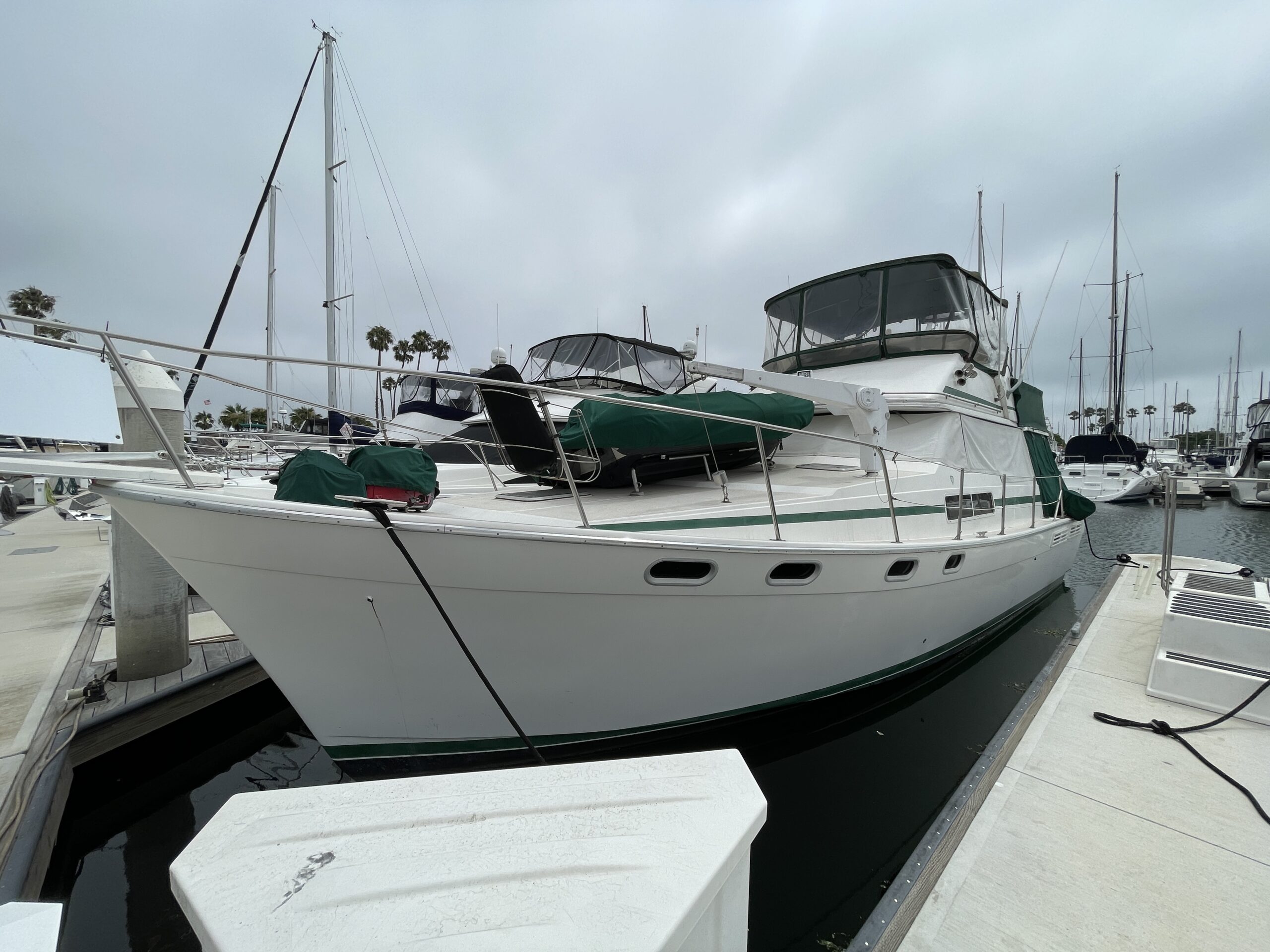 Bayliner 3888 PortBow